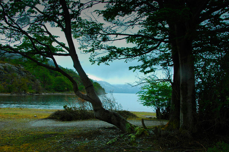 Foto de Ushuaia, Argentina