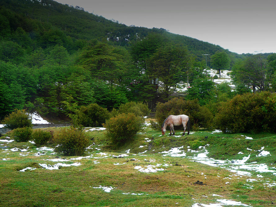 Foto de Ushuaia, Argentina