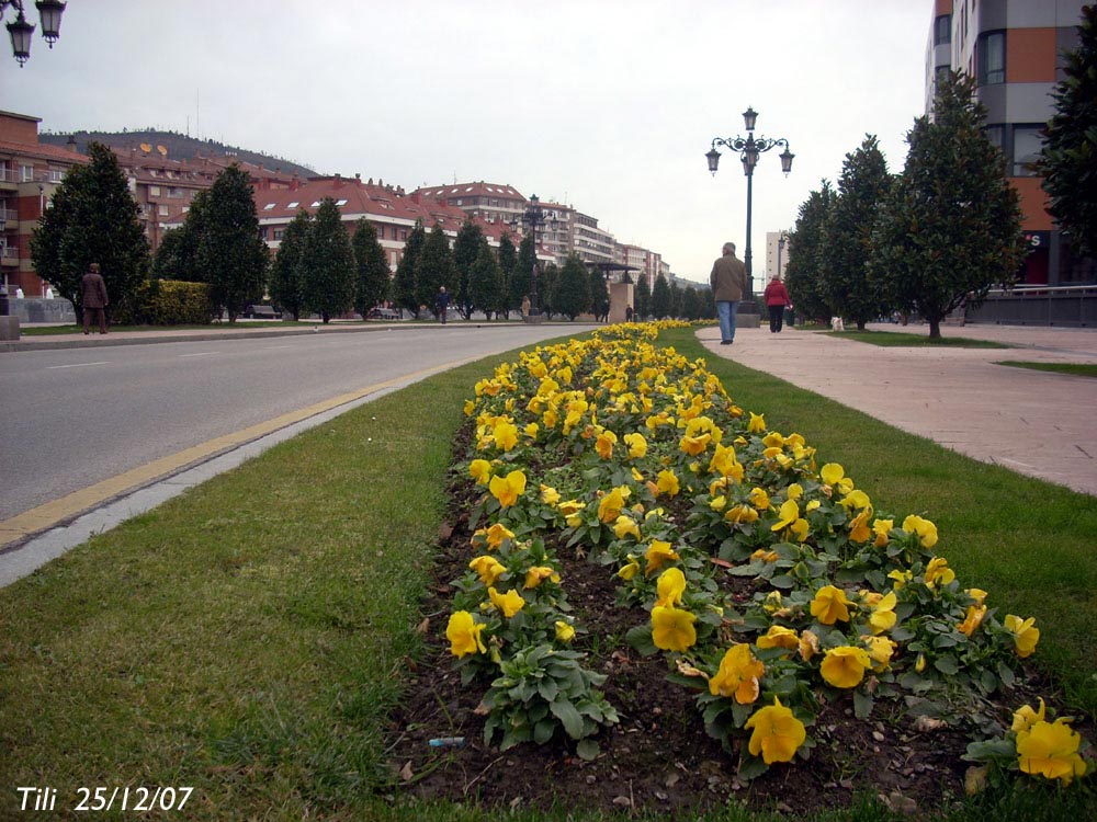Foto de Oviedo (Asturias), España