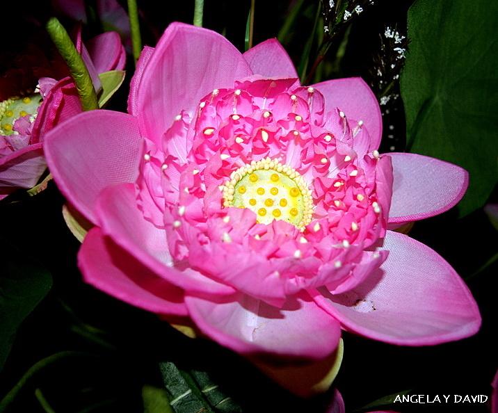 Foto de Chiang Mai, Tailandia