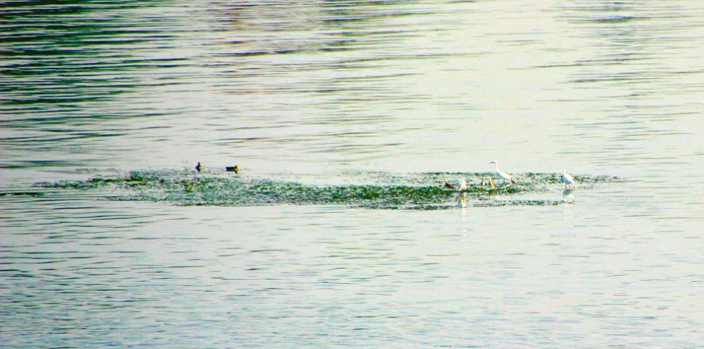 Foto de Tebas, Egipto