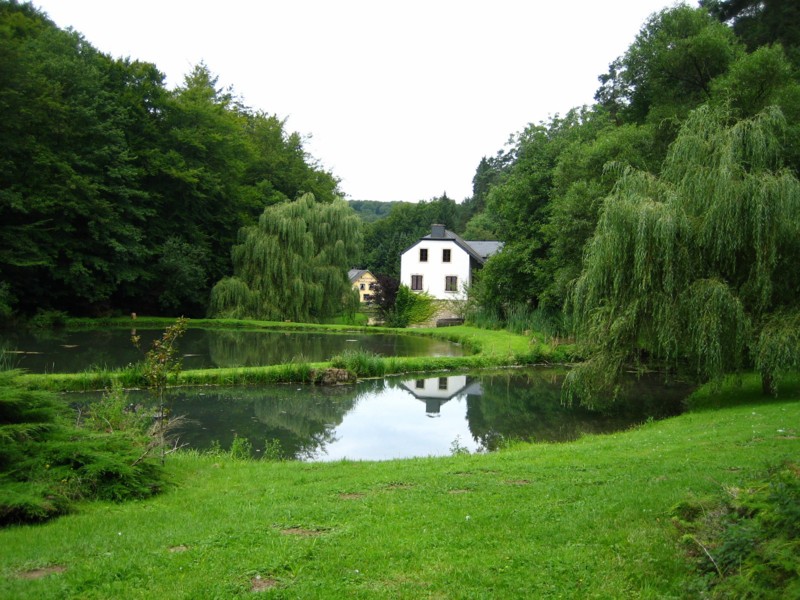 Foto de Müllerthal, Luxemburgo