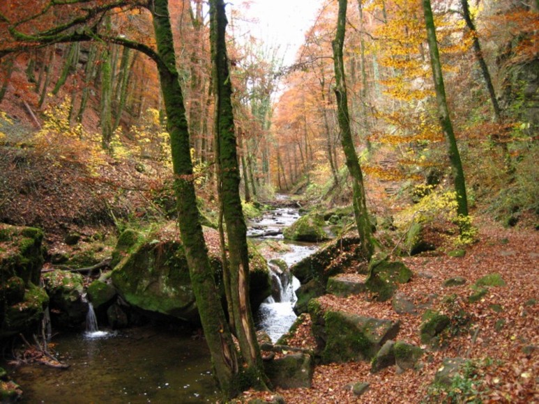 Foto de Müllerthal, Luxemburgo