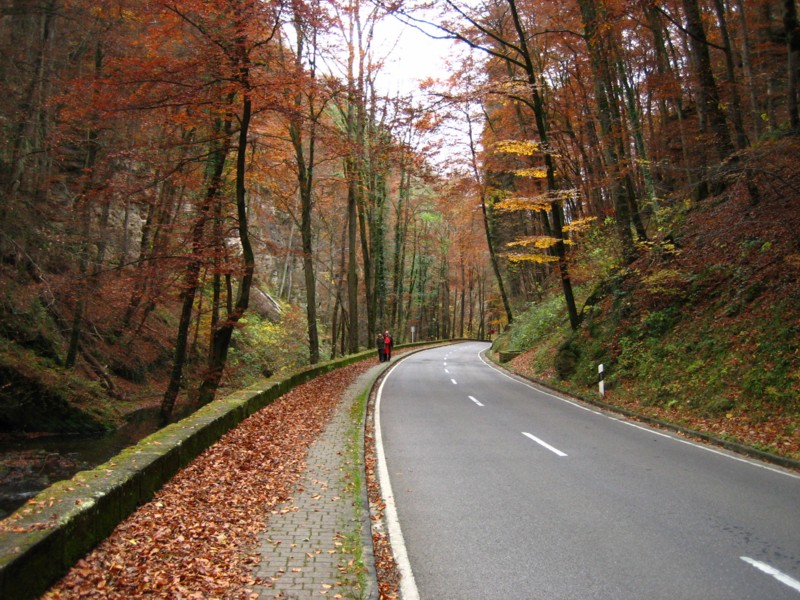 Foto de Müllerthal, Luxemburgo