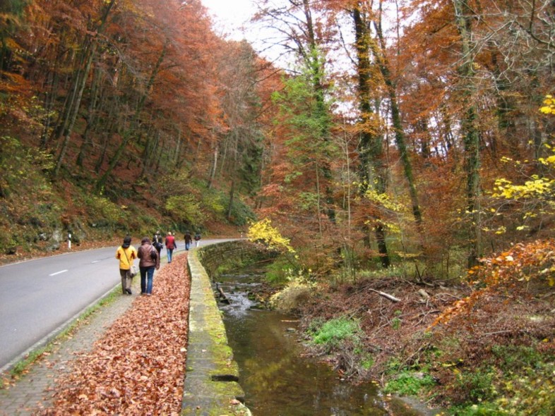 Foto de Müllerthal, Luxemburgo