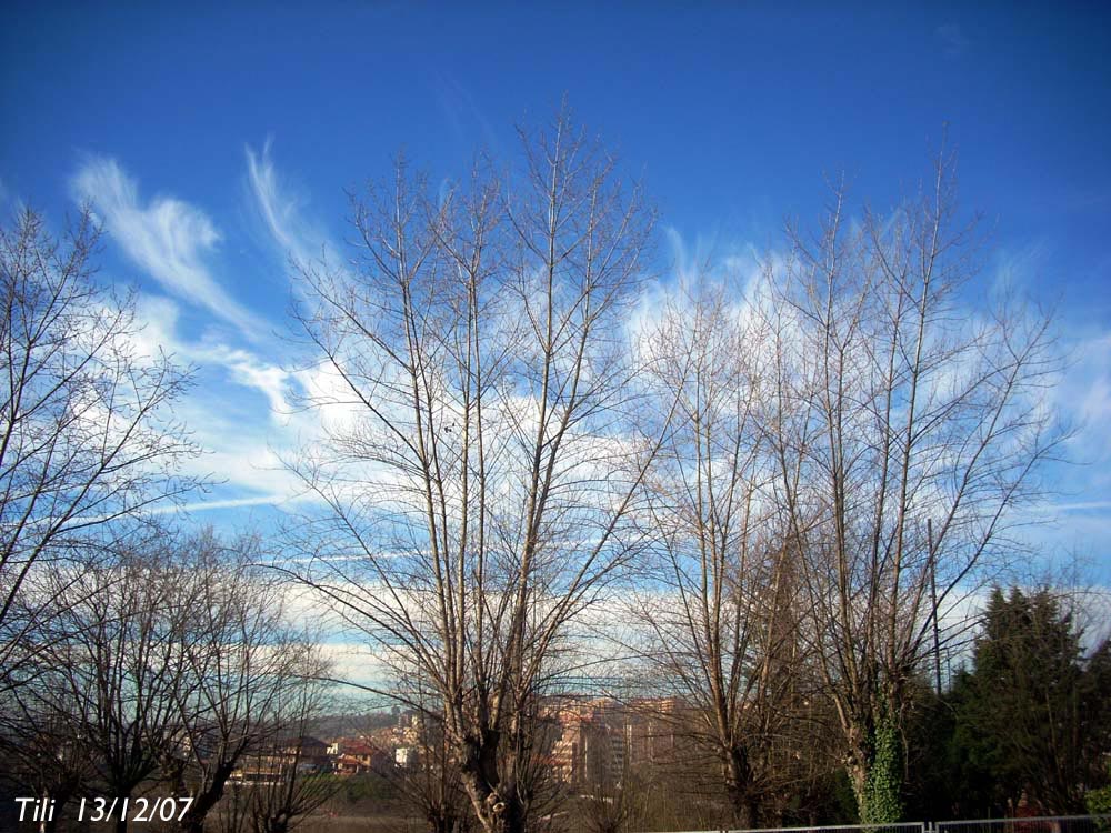 Foto de Oviedo (Asturias), España
