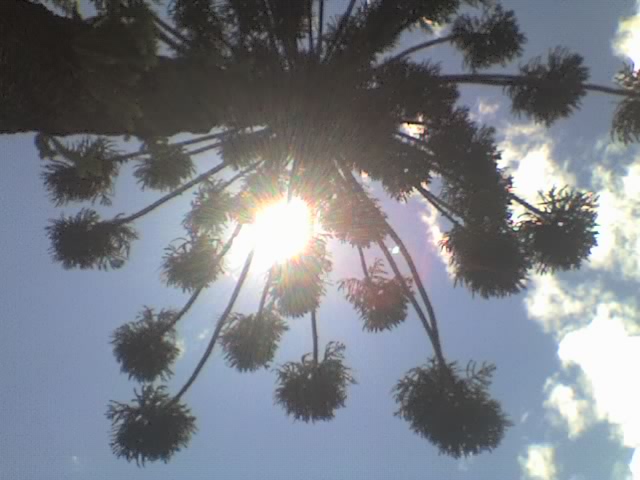 Foto de Bogotá, Colombia