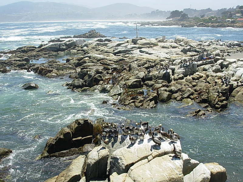 Foto de Maitencillo, Chile