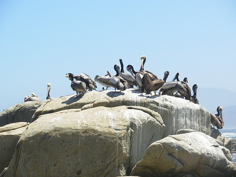 Foto de Maitencillo, Chile