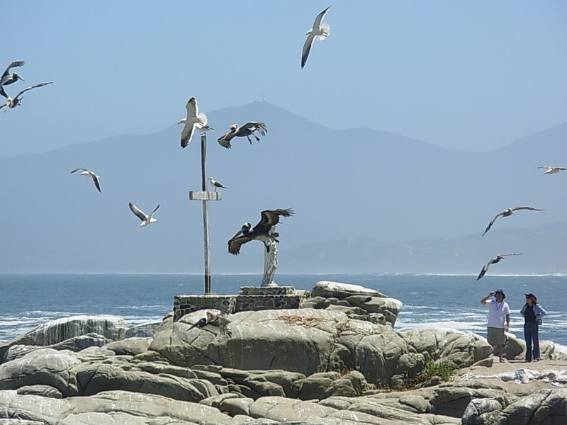 Foto de Maitencillo, Chile