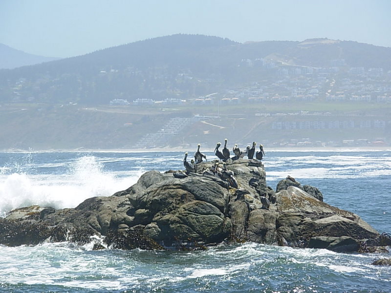 Foto de Maitencillo, Chile