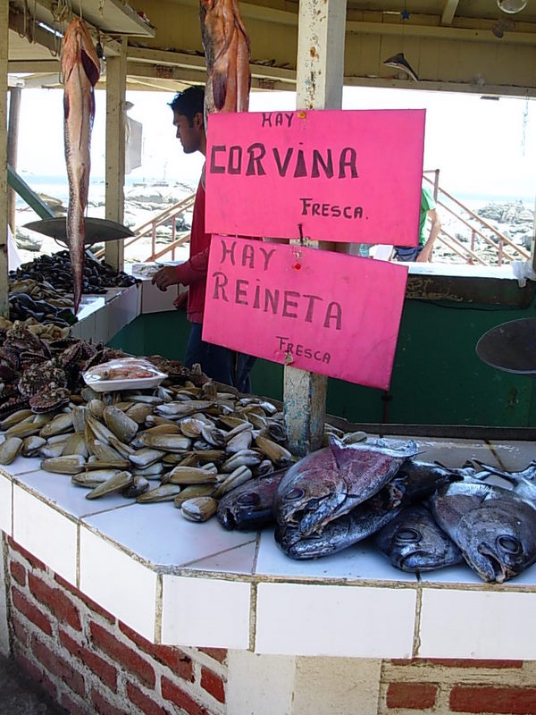 Foto de Maitencillo, Chile