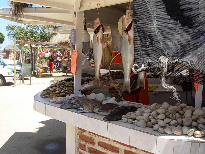 Foto de Maitencillo, Chile