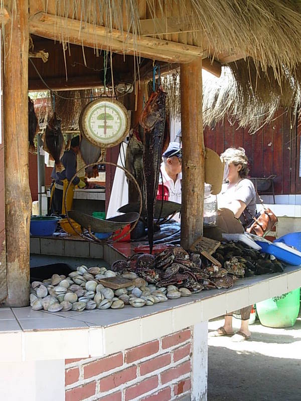 Foto de Maitencillo, Chile