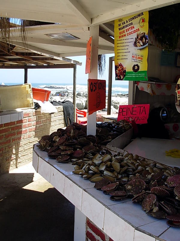 Foto de Maitencillo, Chile