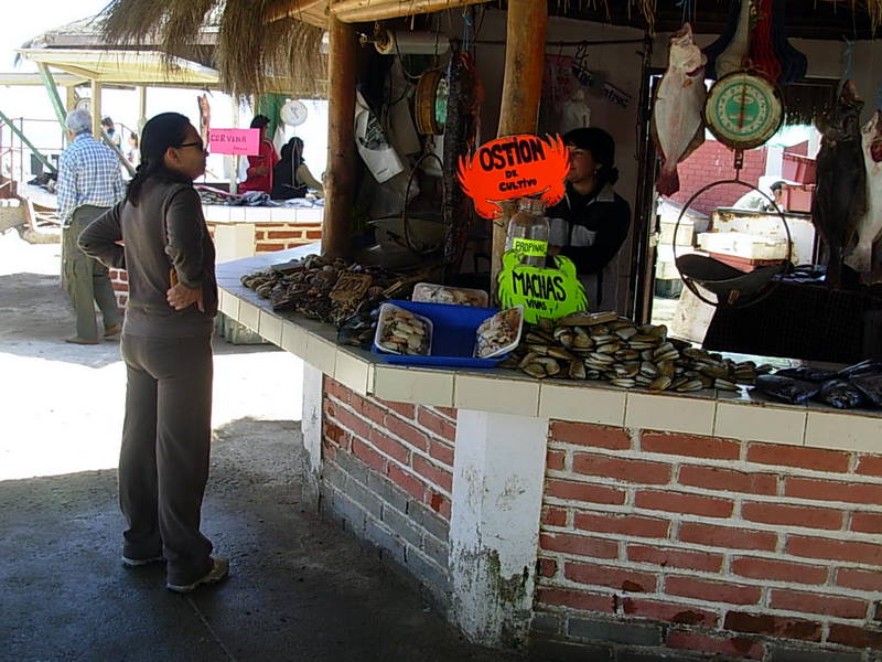 Foto de Maitencillo, Chile