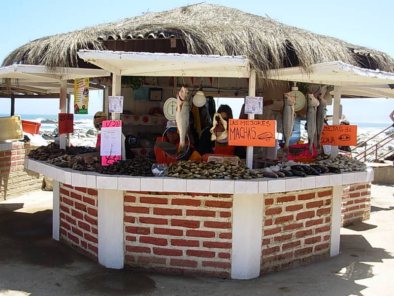 Foto de Maitencillo, Chile