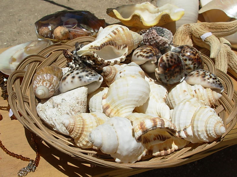 Foto de Maitencillo, Chile