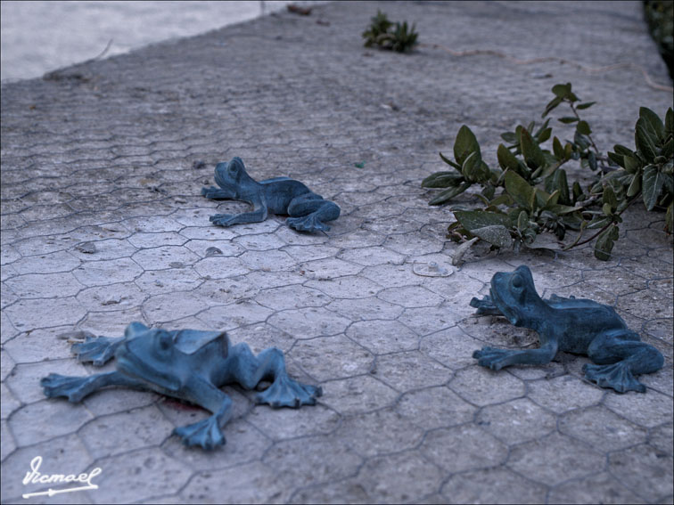 Foto de Zaragoza (Aragón), España