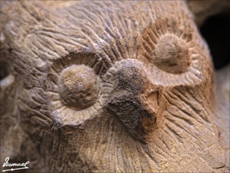 Foto de Zaragoza (Aragón), España