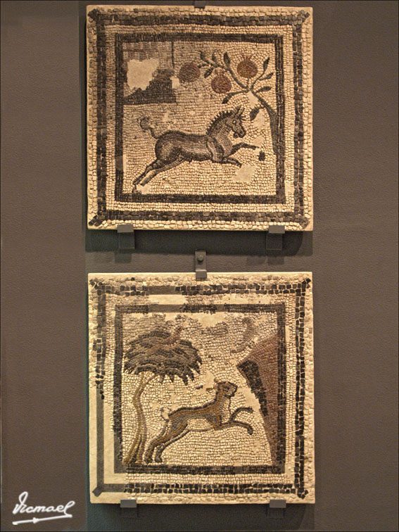 Foto de Zaragoza (Aragón), España