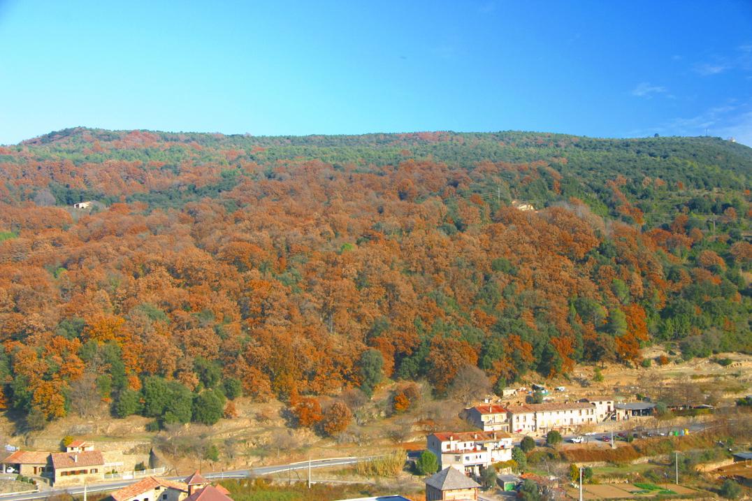 Foto de Castellfollit de la Roca (Girona), España