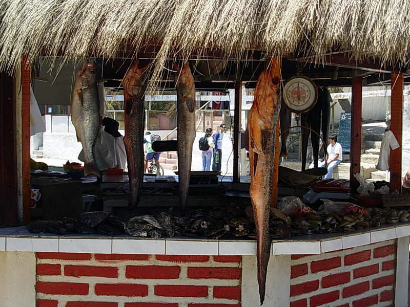 Foto de Maitencillo, Chile