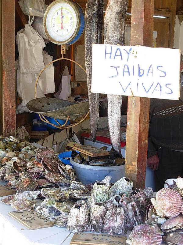 Foto de Maitencillo, Chile