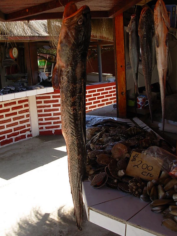 Foto de Maitencillo, Chile