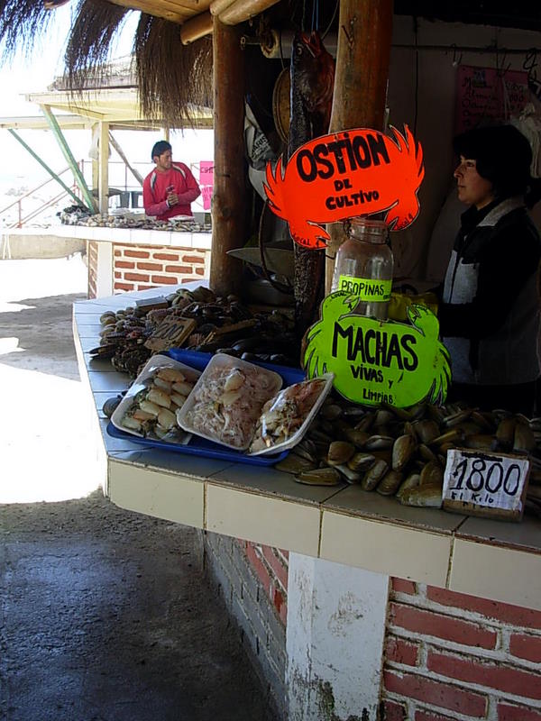 Foto de Maitencillo, Chile