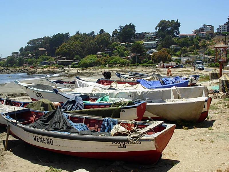Foto de Maitencillo, Chile