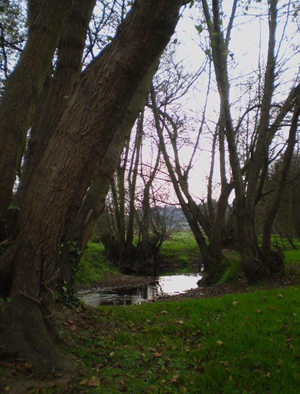 Foto de Arteixo (A Coruña), España