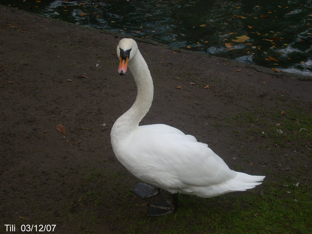 Foto de Oviedo (Asturias), España
