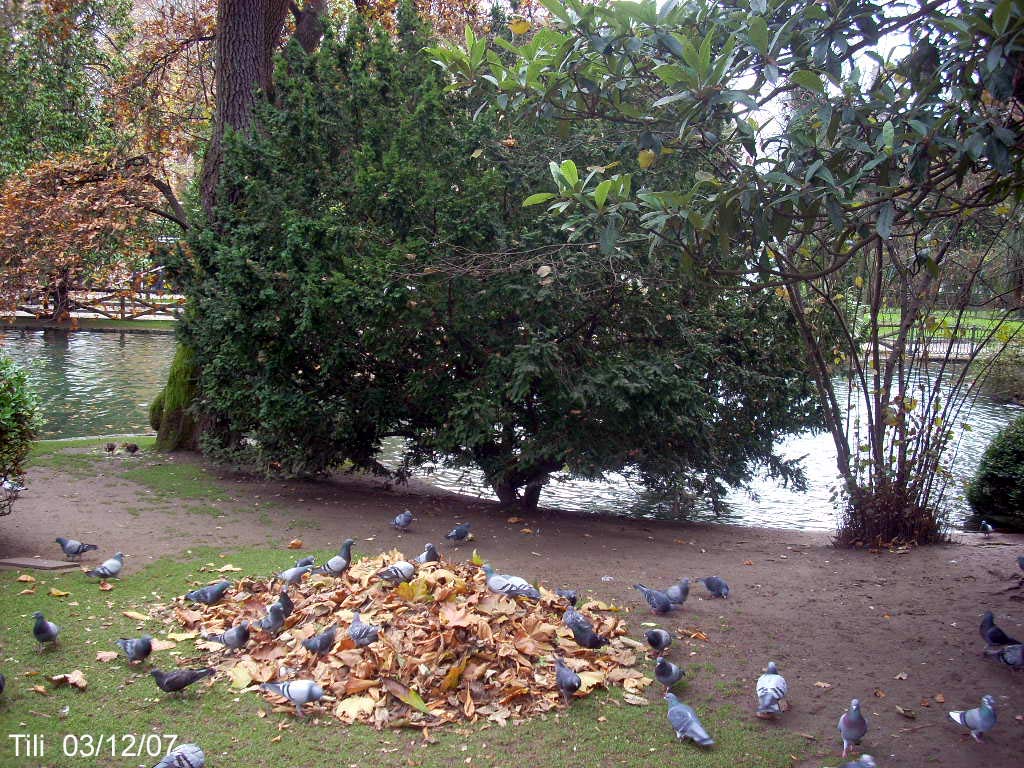 Foto de Oviedo (Asturias), España