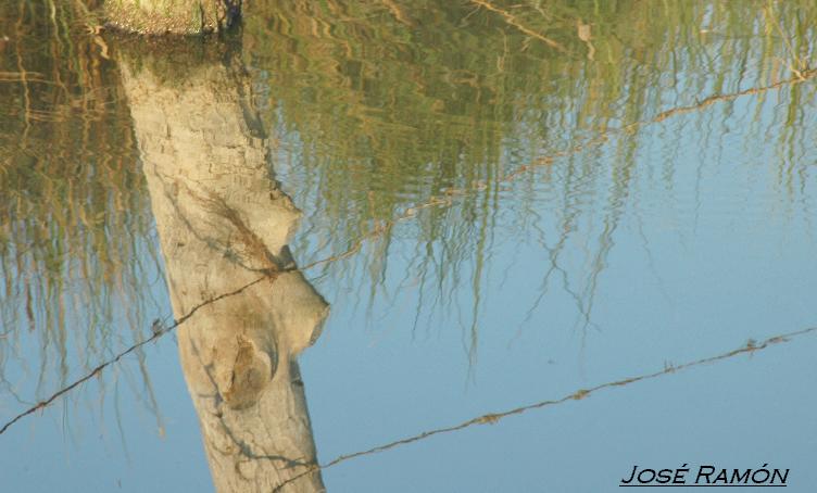 Foto de Cádiz (Andalucía), España