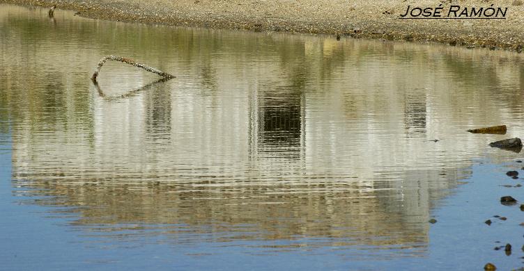 Foto de Cádiz (Andalucía), España
