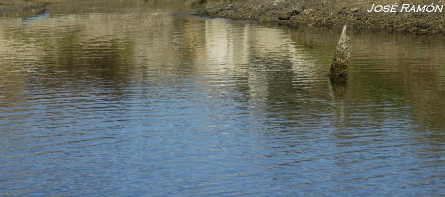Foto de Cádiz (Andalucía), España