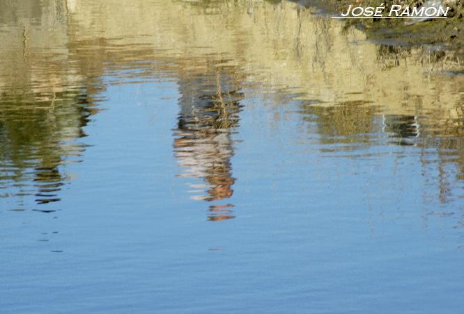Foto de Cádiz (Andalucía), España