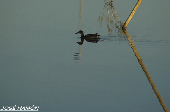 Foto de Cádiz (Andalucía), España