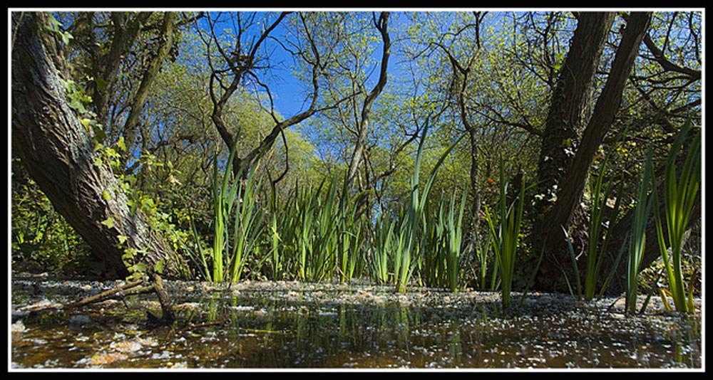 Foto de Arteixo (A Coruña), España