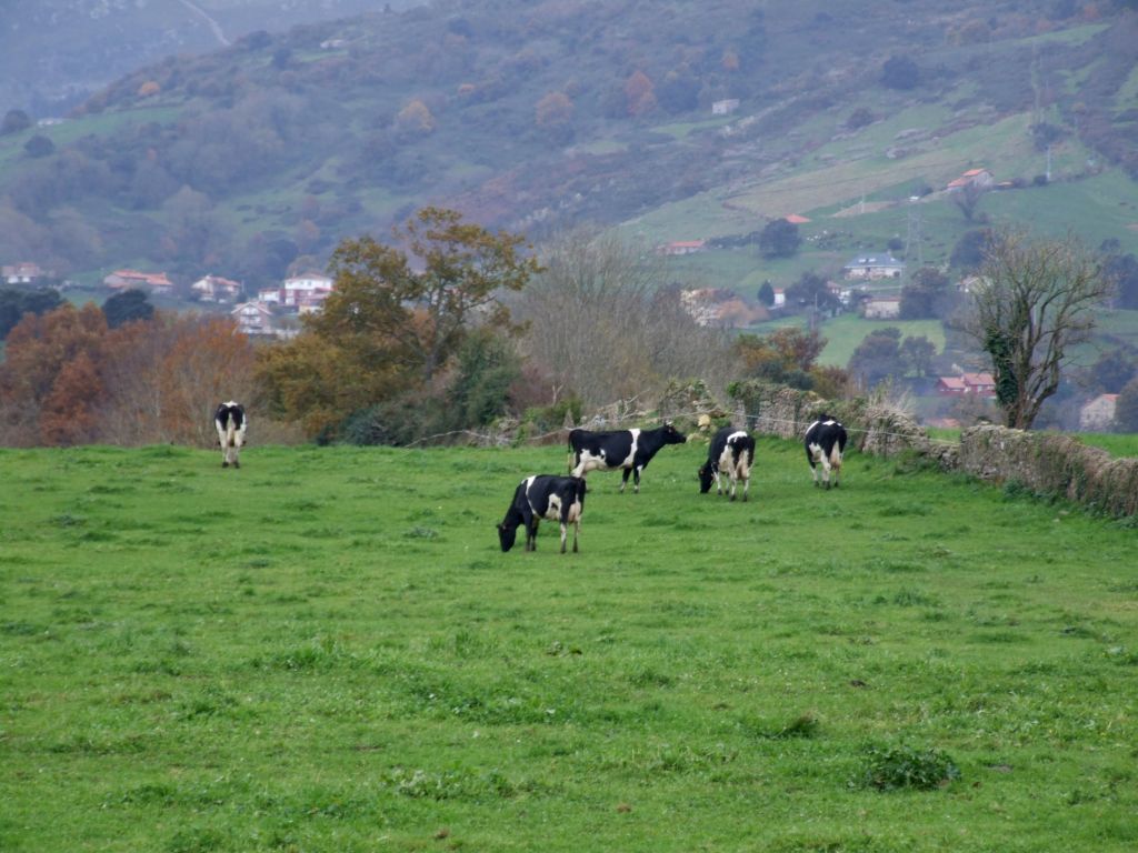 Foto de Guarnizo (Cantabria), España