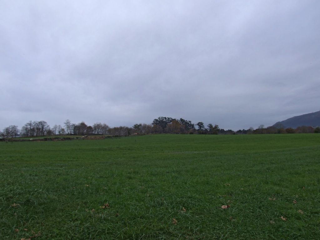 Foto de Guarnizo (Cantabria), España