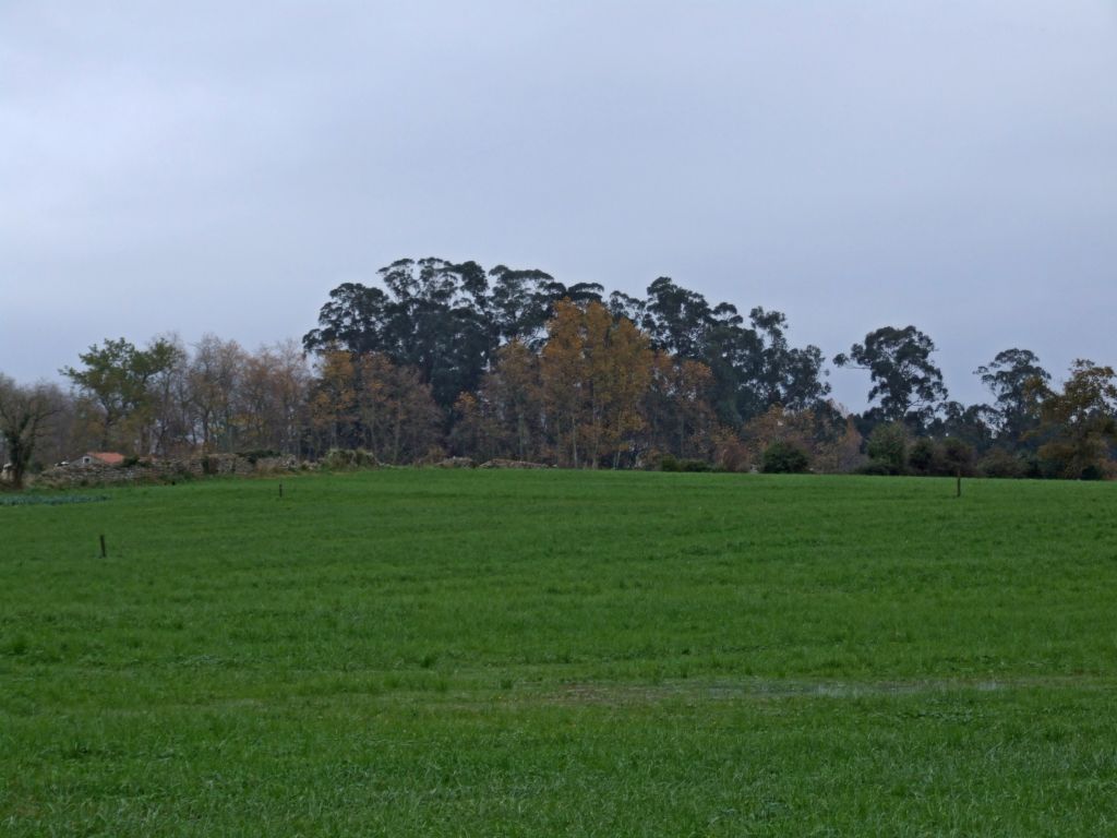 Foto de Guarnizo (Cantabria), España