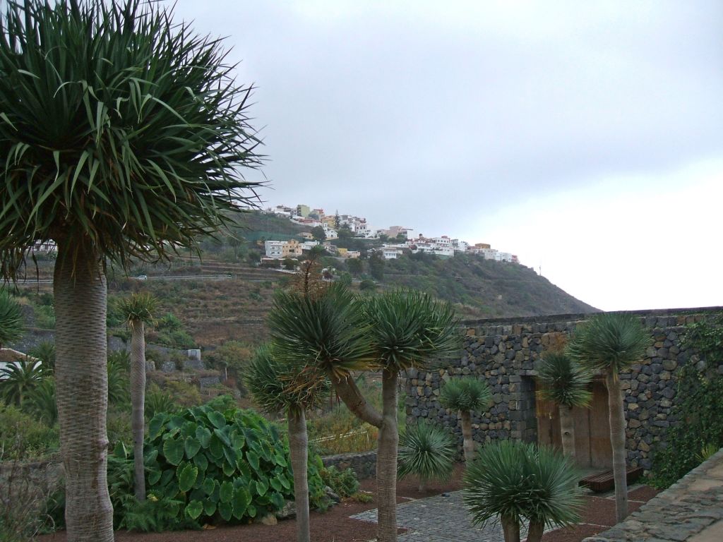 Foto de Icod de los Vinos (Santa Cruz de Tenerife), España