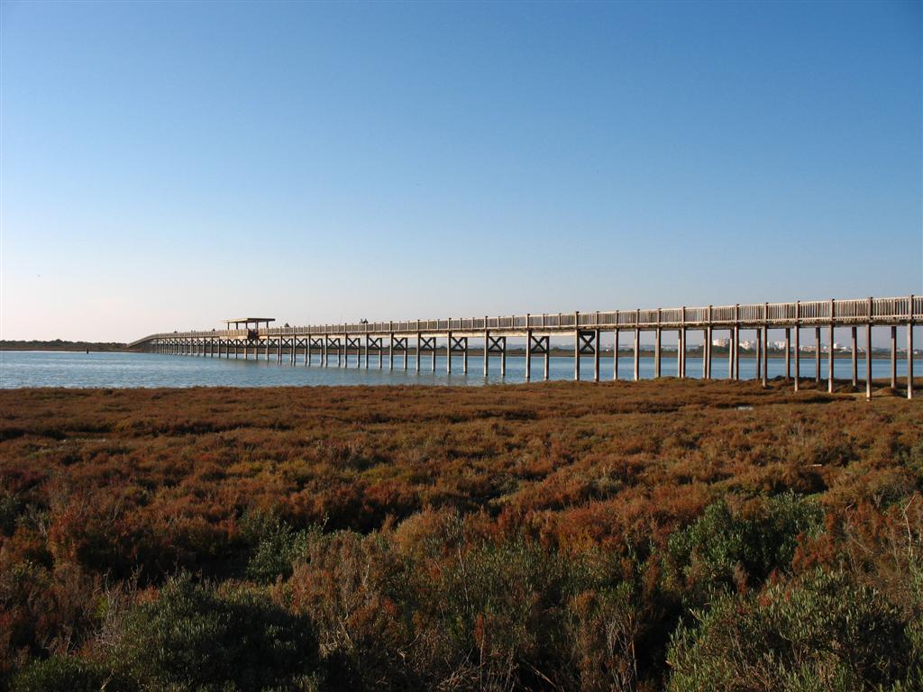 Foto de Puerto Real (Cádiz), España