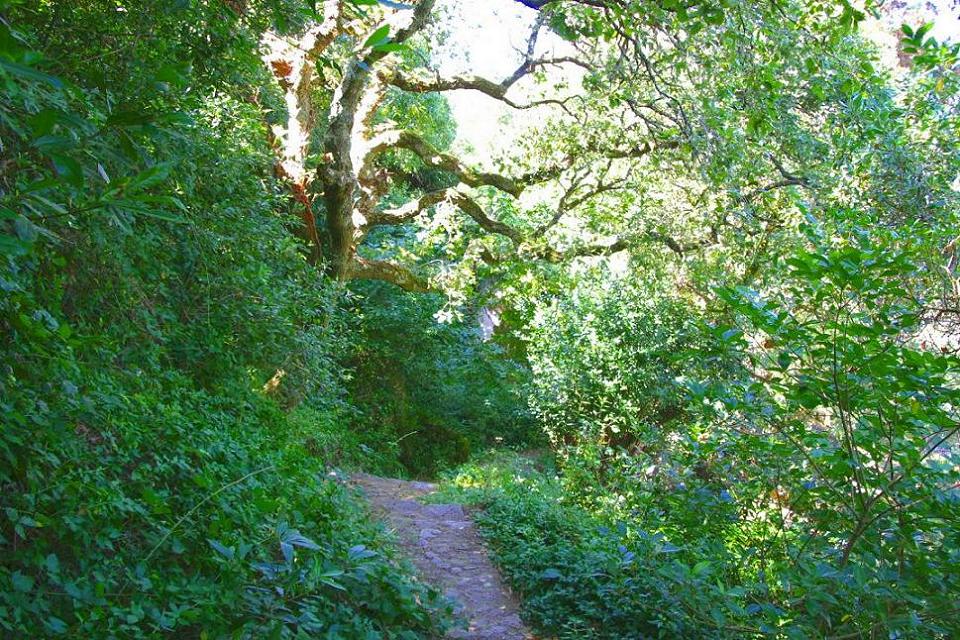 Foto de Sintra, Portugal
