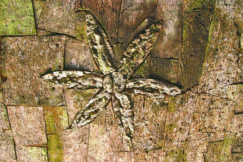 Foto de Sintra, Portugal