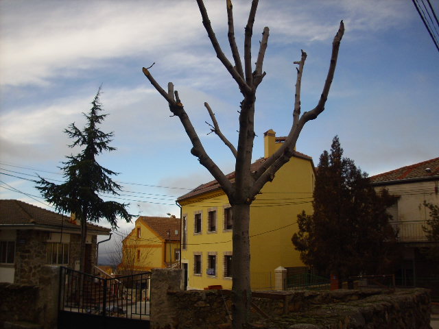 Foto de Revenga (Segovia), España
