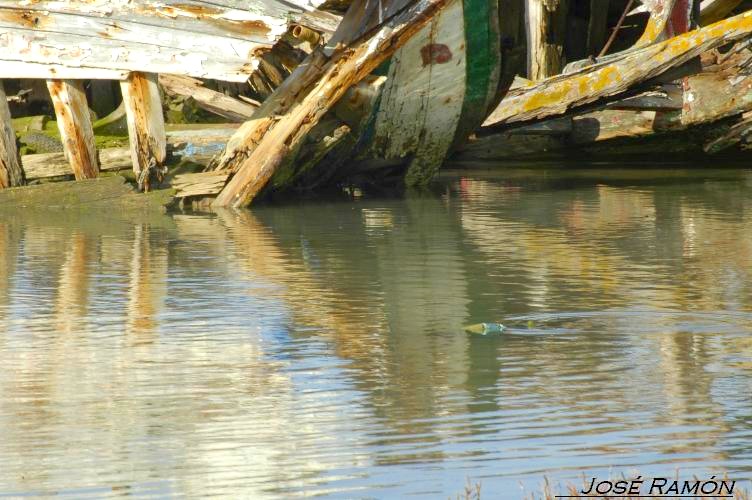 Foto de Barbate (Cádiz), España