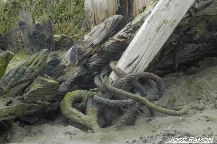 Foto de Barbate (Cádiz), España